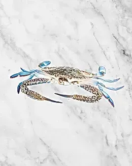 Blue Crab